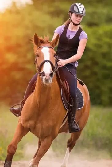 Rider on a chestnut horse cantering along a grassy track in warm evening light