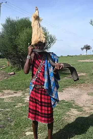 Maasai man in a red check shuka raising a long horn at a village visit